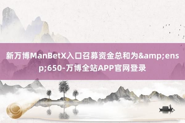 新万博ManBetX入口召募资金总和为 650-万博全站APP官网登录