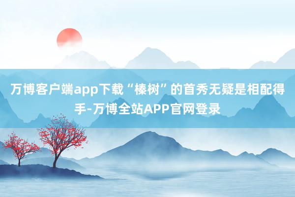 万博客户端app下载“榛树”的首秀无疑是相配得手-万博全站APP官网登录