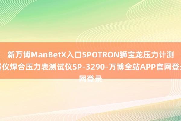 新万博ManBetX入口SPOTRON狮宝龙压力计测量仪焊合压力表测试仪SP-3290-万博全站APP官网登录