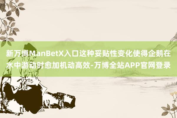 新万博ManBetX入口这种妥贴性变化使得企鹅在水中游动时愈加机动高效-万博全站APP官网登录