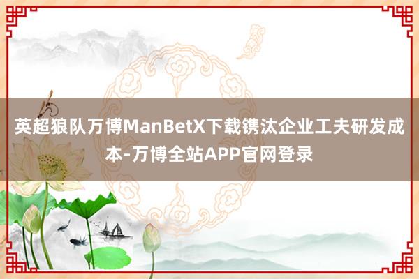 英超狼队万博ManBetX下载镌汰企业工夫研发成本-万博全站APP官网登录