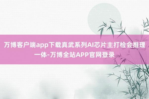 万博客户端app下载真武系列AI芯片主打检会推理一体-万博全站APP官网登录